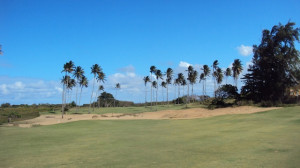 Royal Isabela's 13th hole, tall palm trees with a vista to the south.